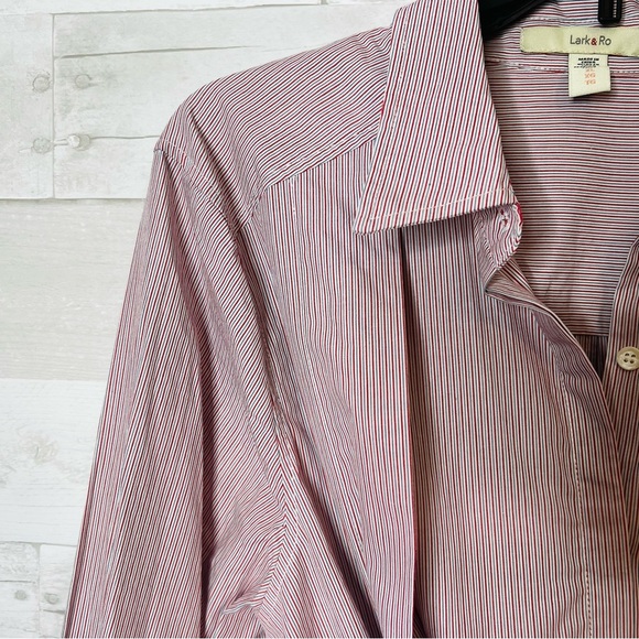 Lark & Ro Striped Button Down - Picture 3 of 6